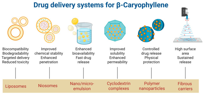 PMC12472692 – molecules-30-03702-f005