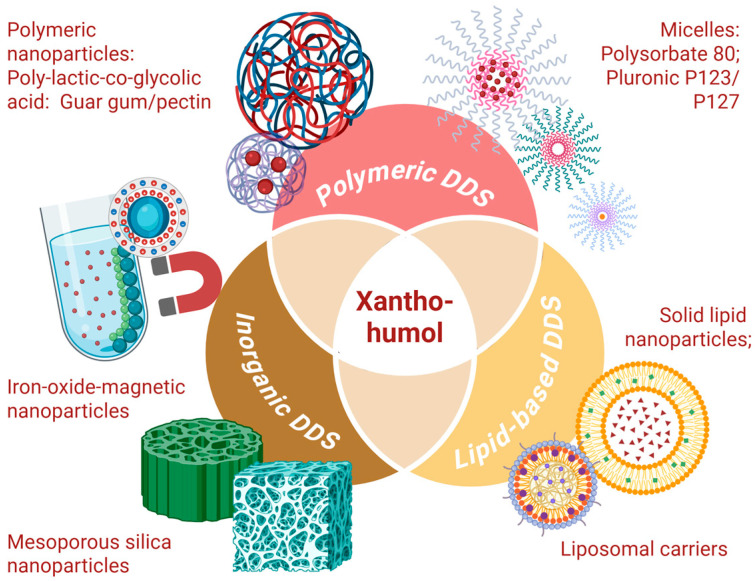 PMC12472692 – molecules-30-03702-f006