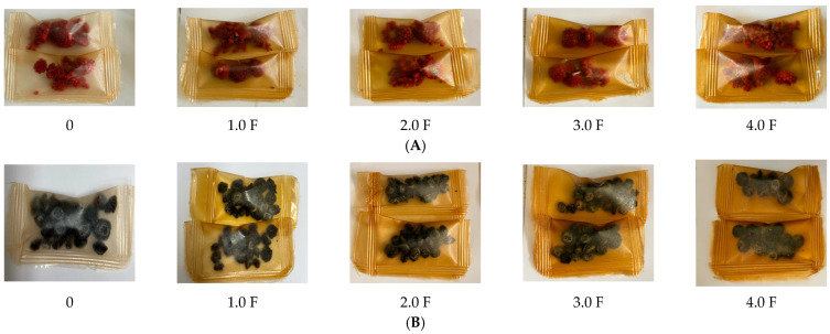 PMC12899715 – molecules-31-00443-f009