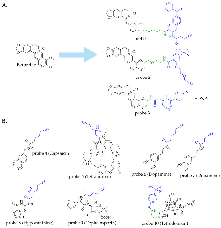 PMC13075145 – molecules-31-01096-f005