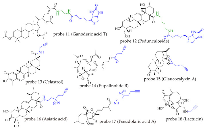 PMC13075145 – molecules-31-01096-f006