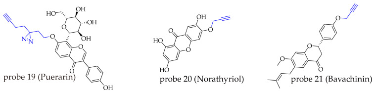 PMC13075145 – molecules-31-01096-f007