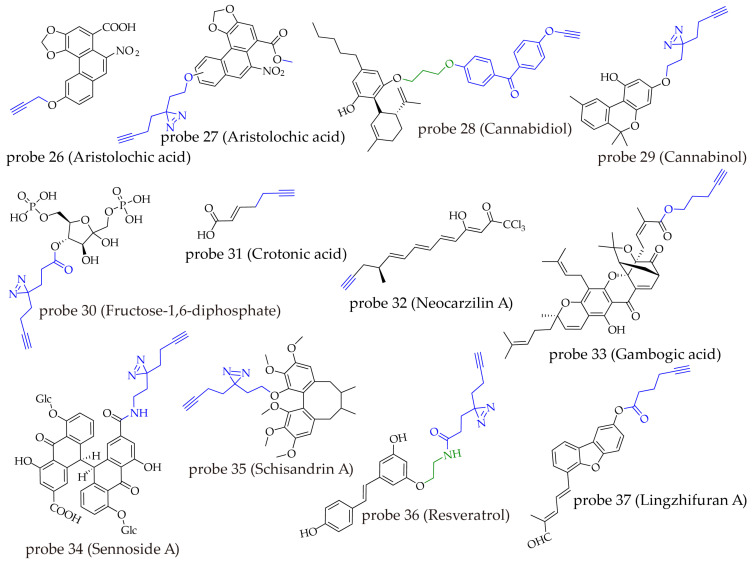 PMC13075145 – molecules-31-01096-f009