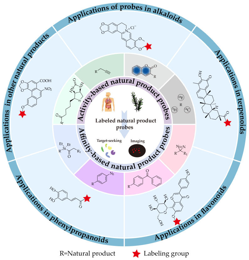 PMC13075145 – molecules-31-01096-sch001