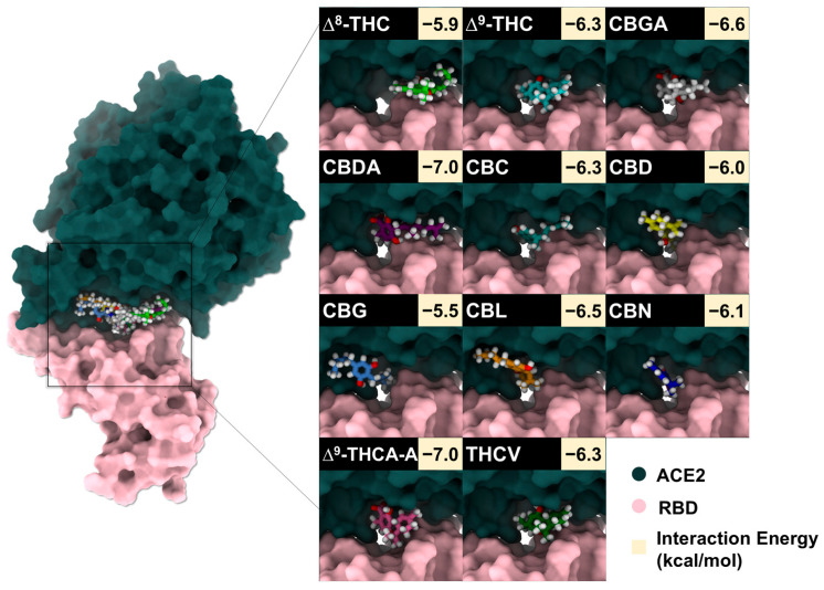PMC13118358 – molecules-31-01253-f004
