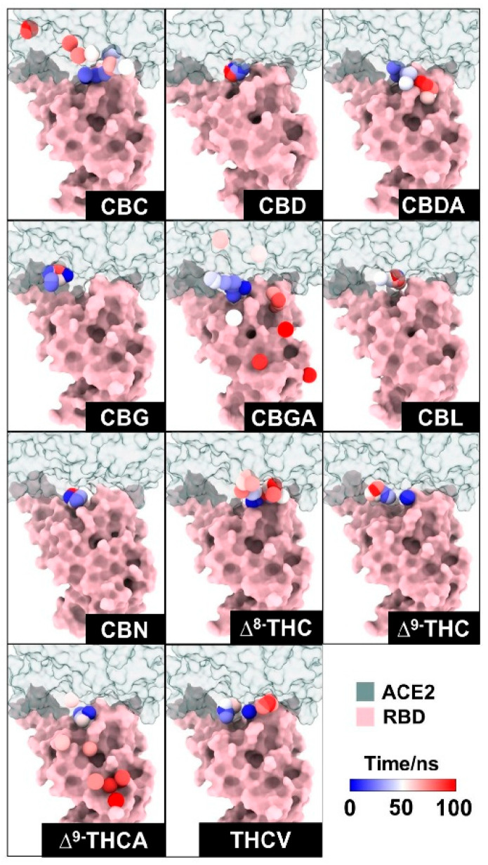 PMC13118358 – molecules-31-01253-f005