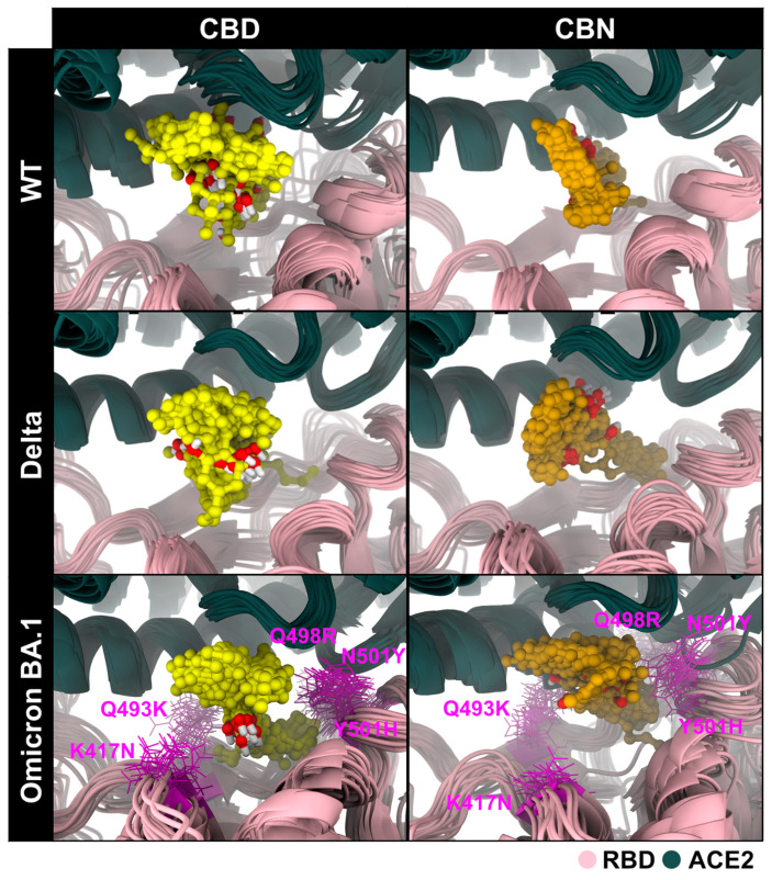 PMC13118358 – molecules-31-01253-f006