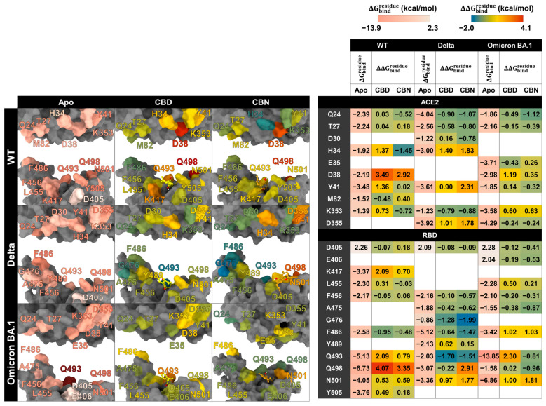 PMC13118358 – molecules-31-01253-f009