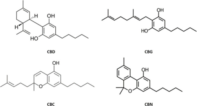 PMC12326358 – fig1