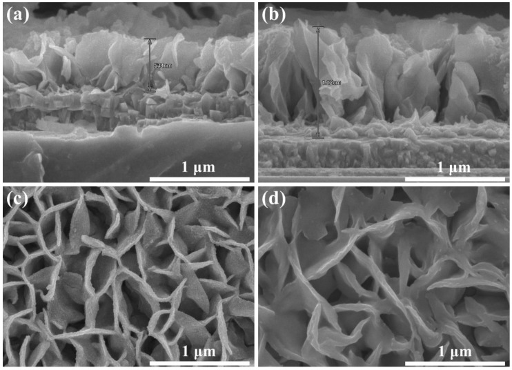 PMC6723453 – nanomaterials-09-01122-f002