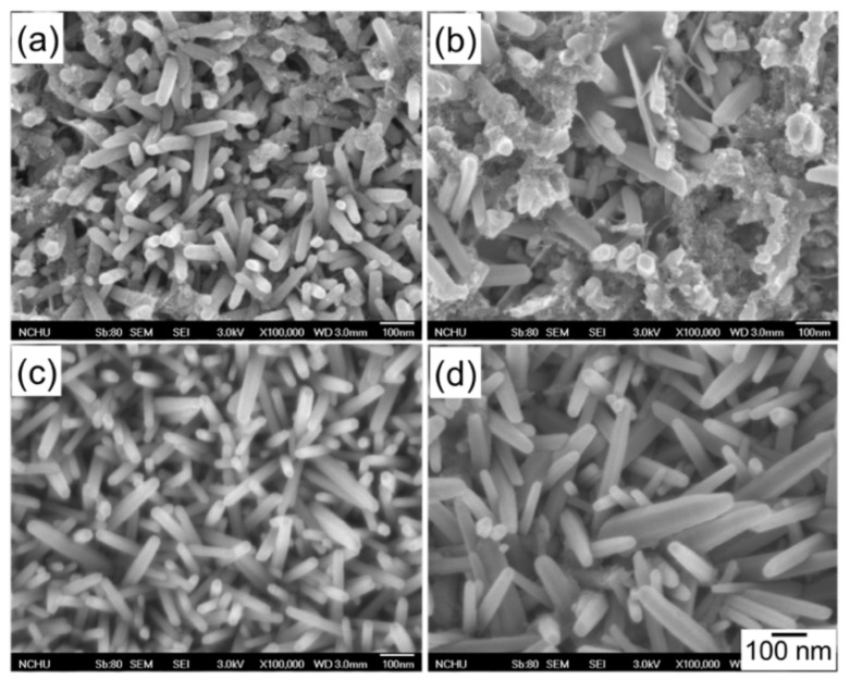 PMC7153262 – nanomaterials-10-00475-f004