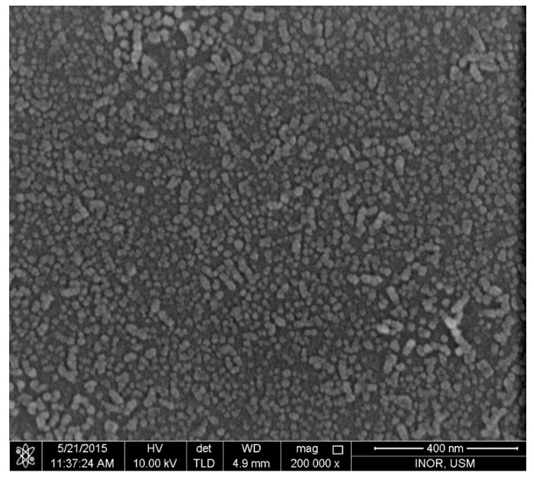 PMC7999724 – nanomaterials-11-00677-f003