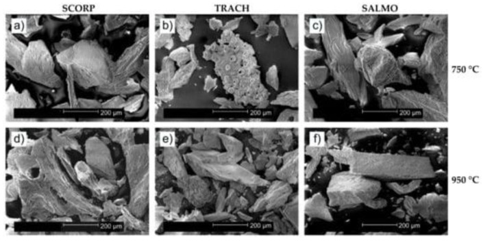 PMC8620776 – nanomaterials-11-02856-f003