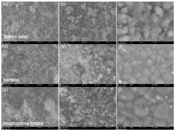 PMC8620776 – nanomaterials-11-02856-f004