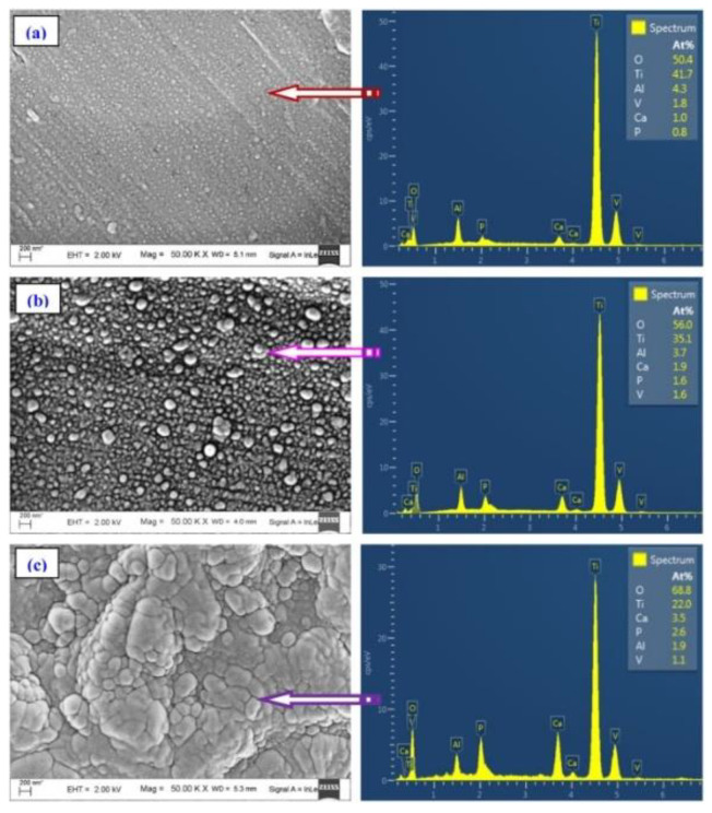 PMC8620776 – nanomaterials-11-02856-f010