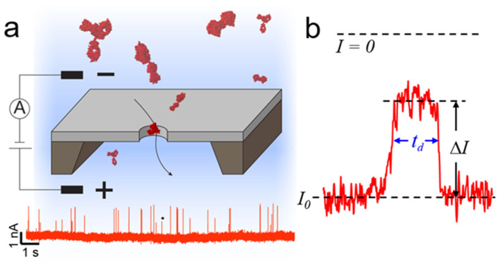 PMC9323289 – nanomaterials-12-02384-f001