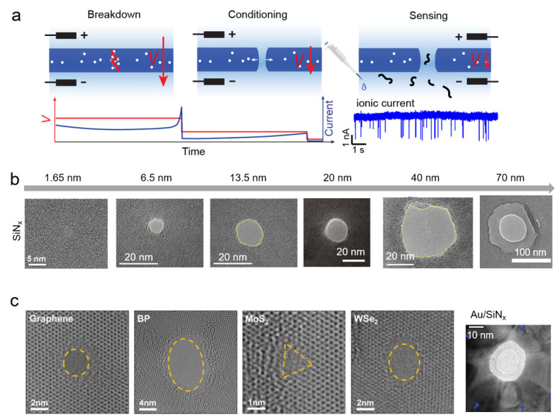 PMC9323289 – nanomaterials-12-02384-f002