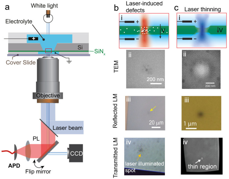 PMC9323289 – nanomaterials-12-02384-f003