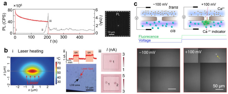 PMC9323289 – nanomaterials-12-02384-f004