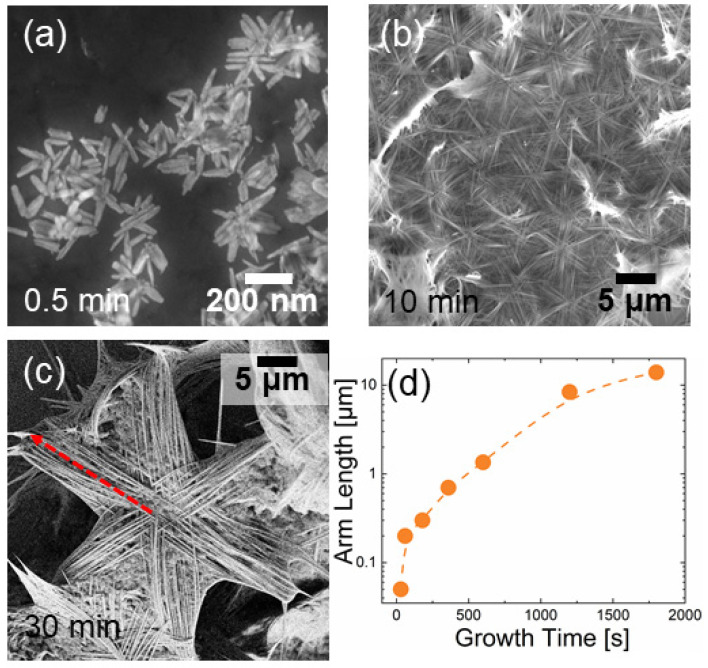 PMC9370347 – nanomaterials-12-02588-f001