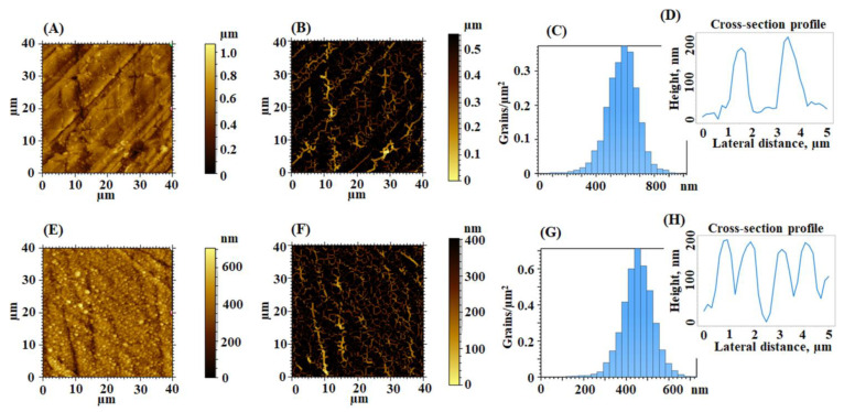 PMC9505763 – nanomaterials-12-03249-f010