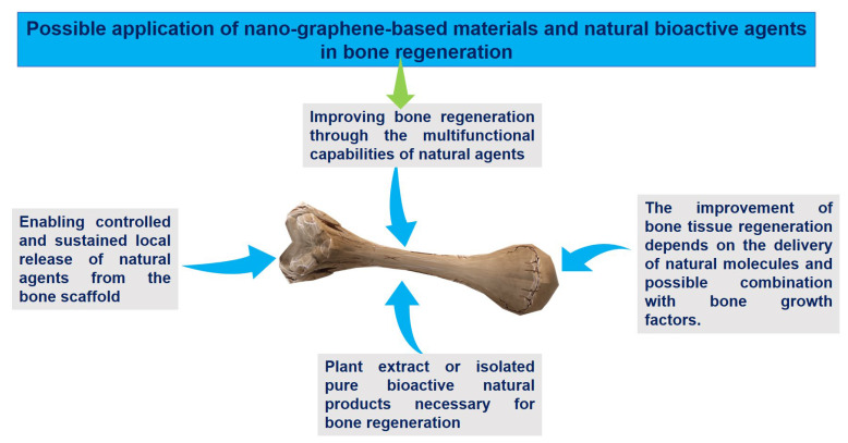 PMC10574074 – nanomaterials-13-02666-f008