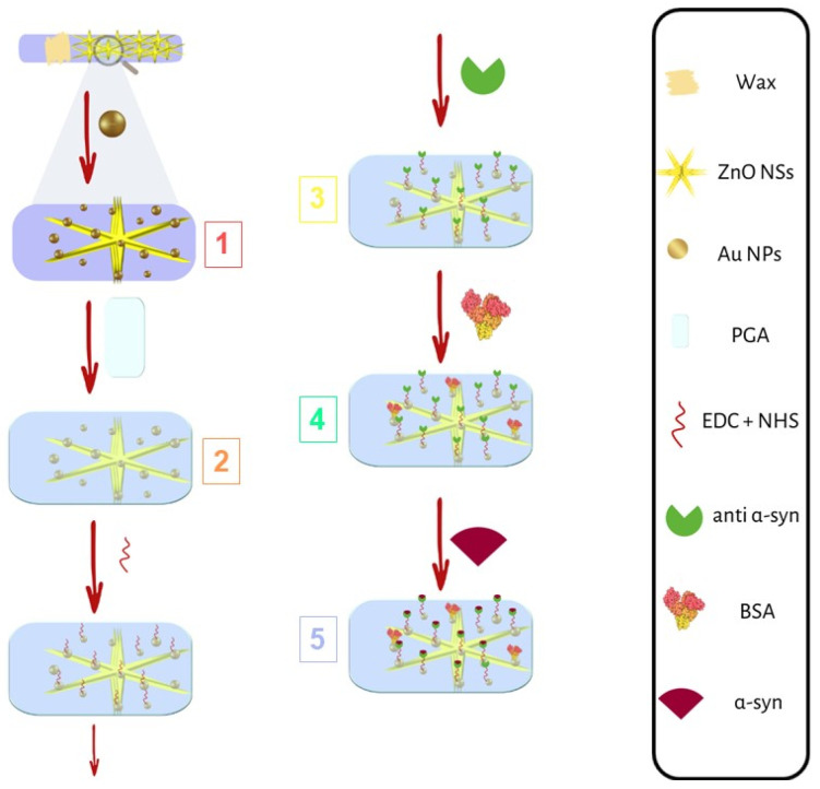 PMC10819810 – nanomaterials-14-00170-f001
