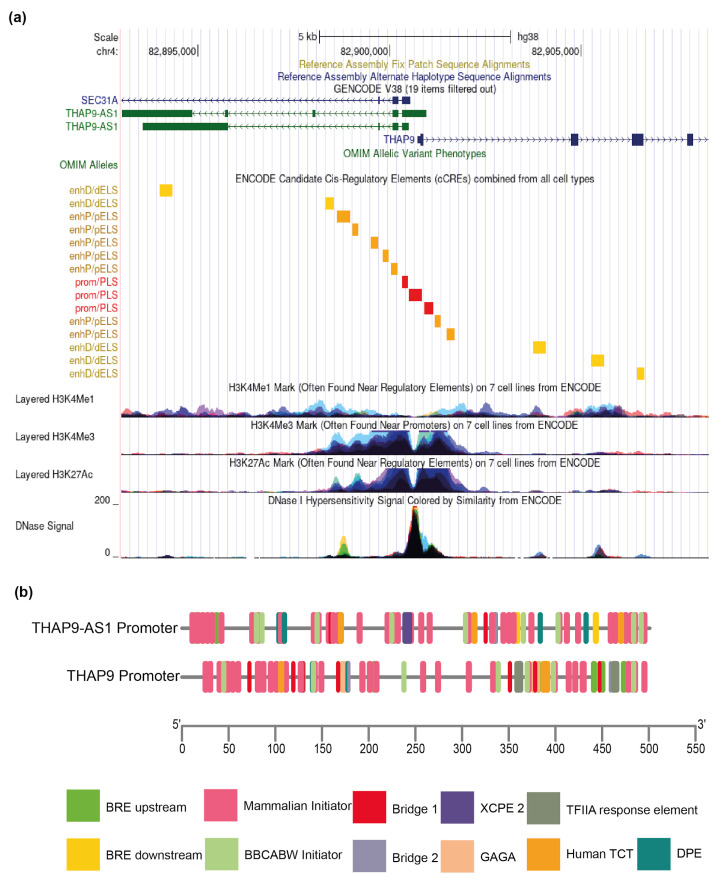 PMC9326536 – ncrna-08-00051-f002