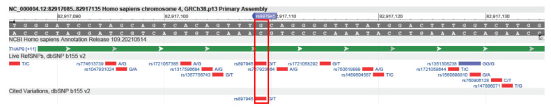 PMC9326536 – ncrna-08-00051-f003