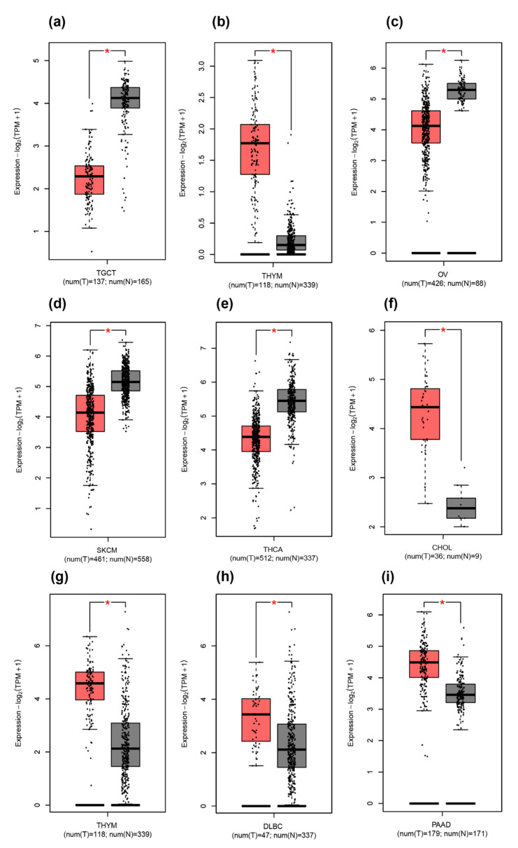 PMC9326536 – ncrna-08-00051-f006
