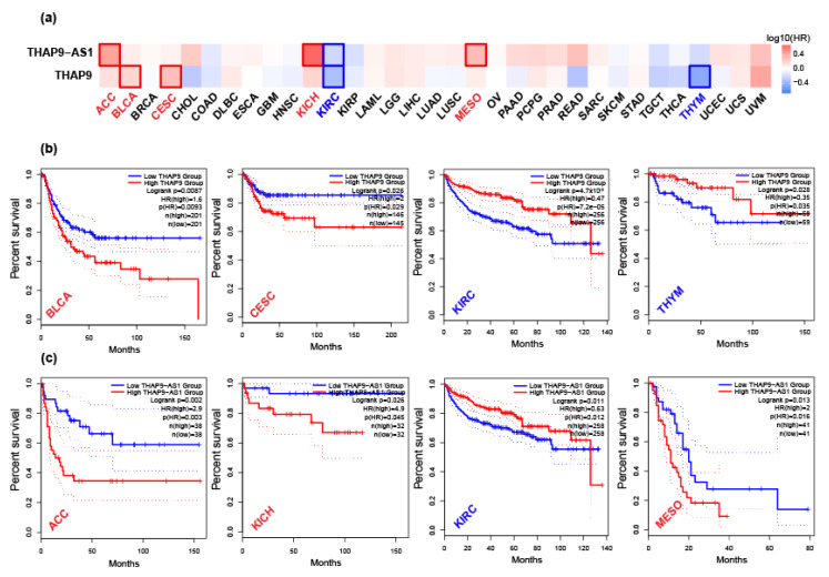 PMC9326536 – ncrna-08-00051-f008