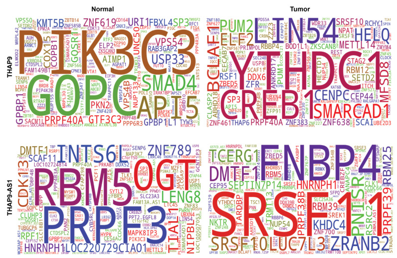 PMC9326536 – ncrna-08-00051-f009