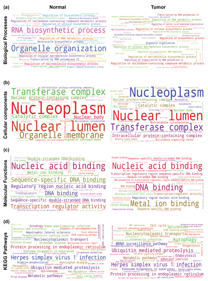 PMC9326536 – ncrna-08-00051-f010