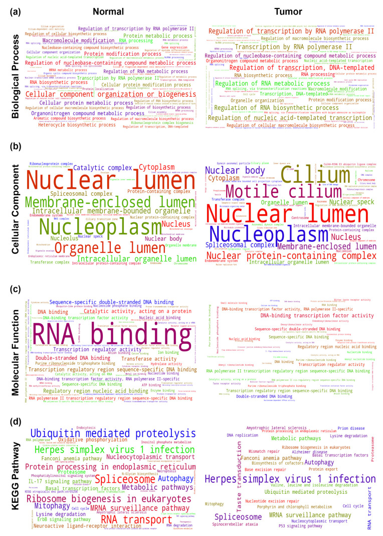 PMC9326536 – ncrna-08-00051-f011