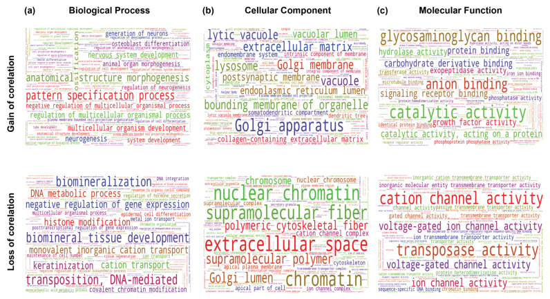 PMC9326536 – ncrna-08-00051-f012