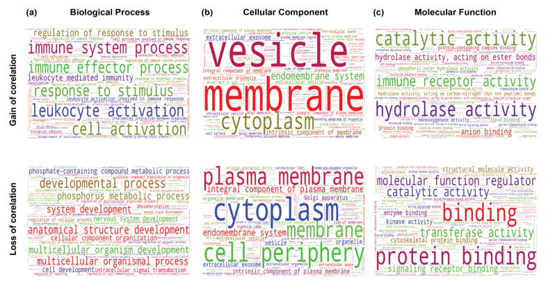 PMC9326536 – ncrna-08-00051-f013