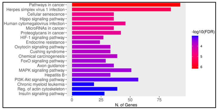 PMC12101234 – ncrna-11-00032-f002