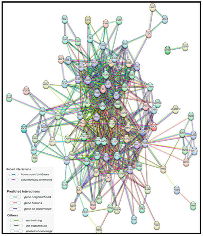 PMC12101234 – ncrna-11-00032-f003