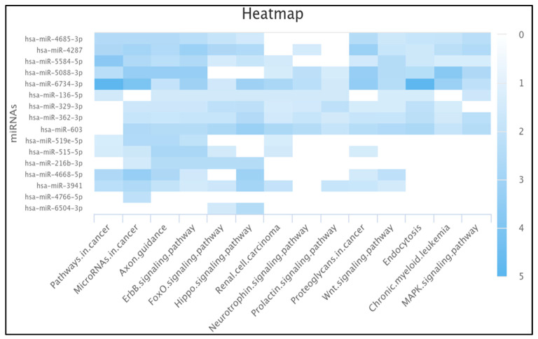 PMC12101234 – ncrna-11-00032-f004