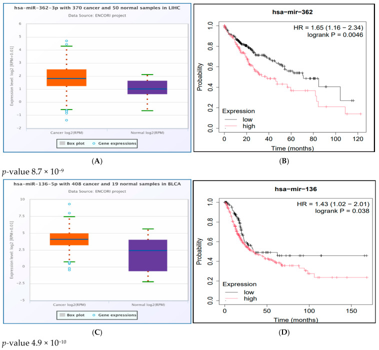 PMC12101234 – ncrna-11-00032-f005