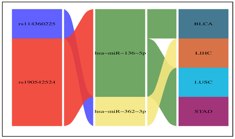 PMC12101234 – ncrna-11-00032-f006