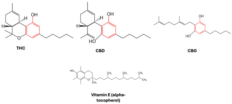 PMC11270200 – neurolint-16-00057-f001