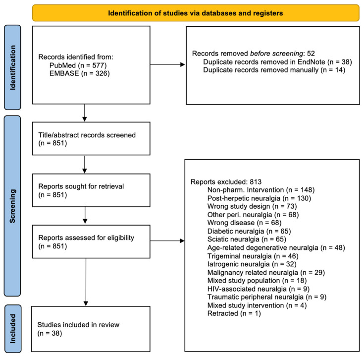 PMC12114137 – neurolint-17-00077-f001