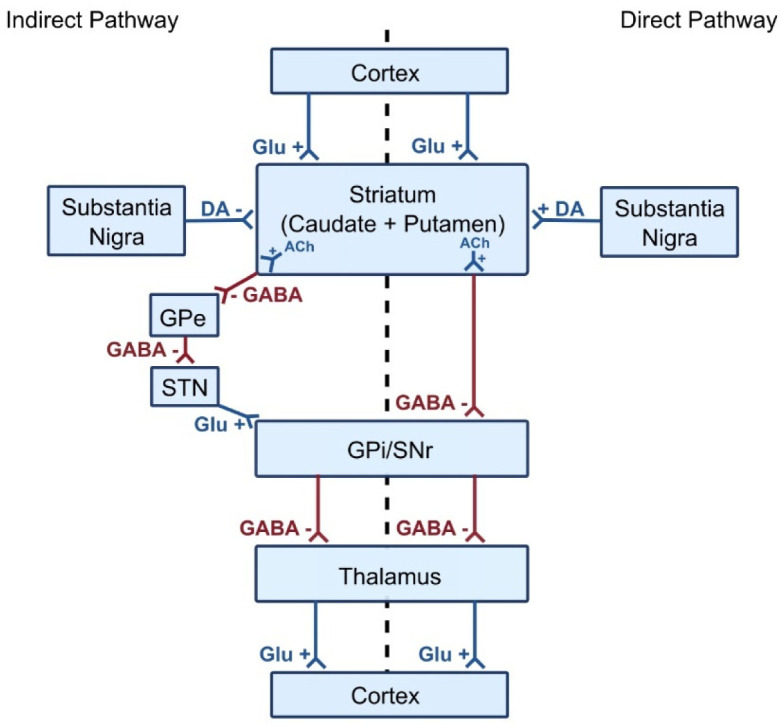 PMC10567584 – neurosci-10-03-017-g001