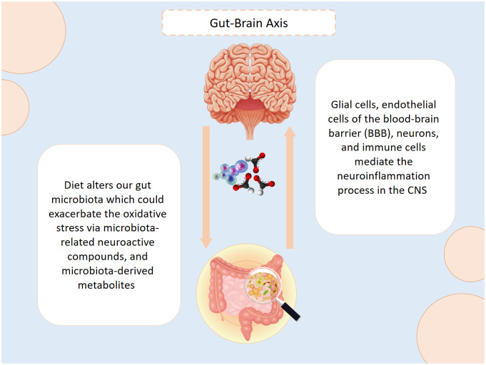 PMC12287638 – neurosci-12-02-006-g001