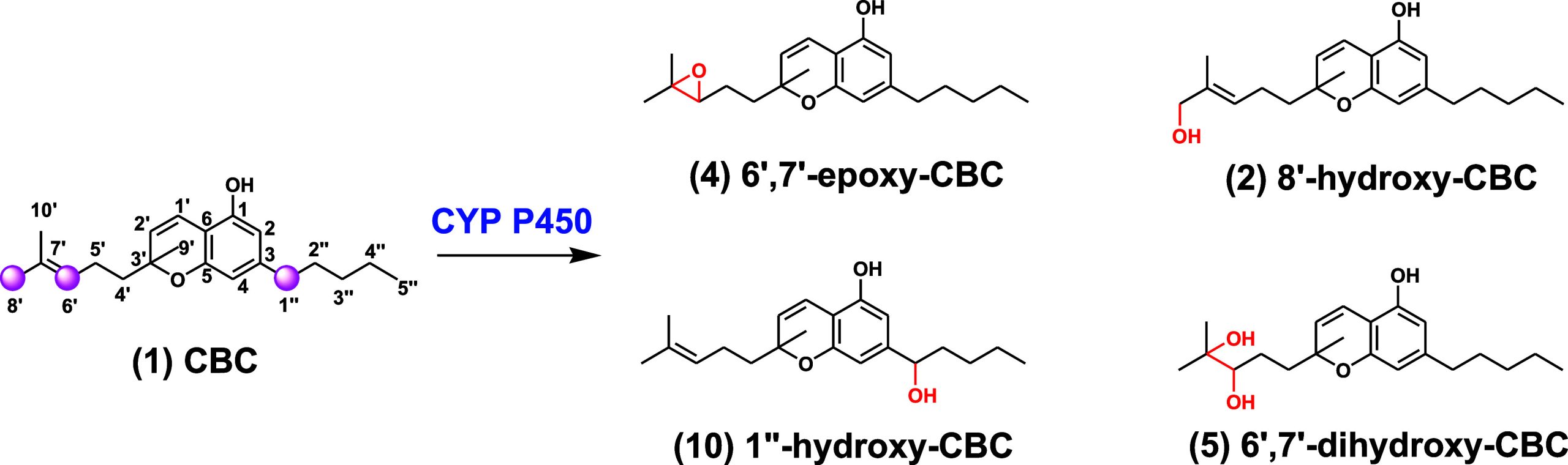 PMC11061835 – fig1