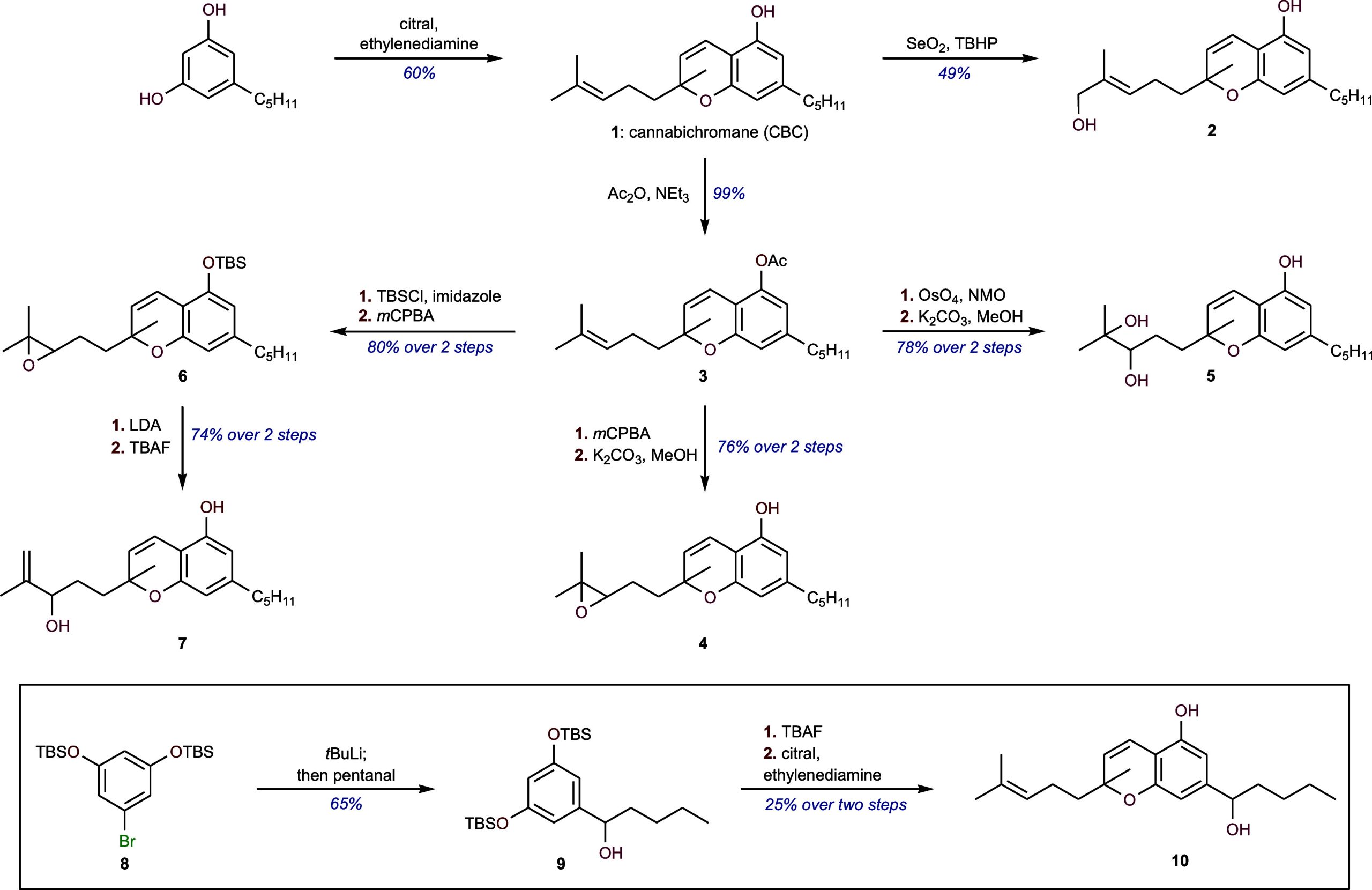 PMC11061835 – sch1