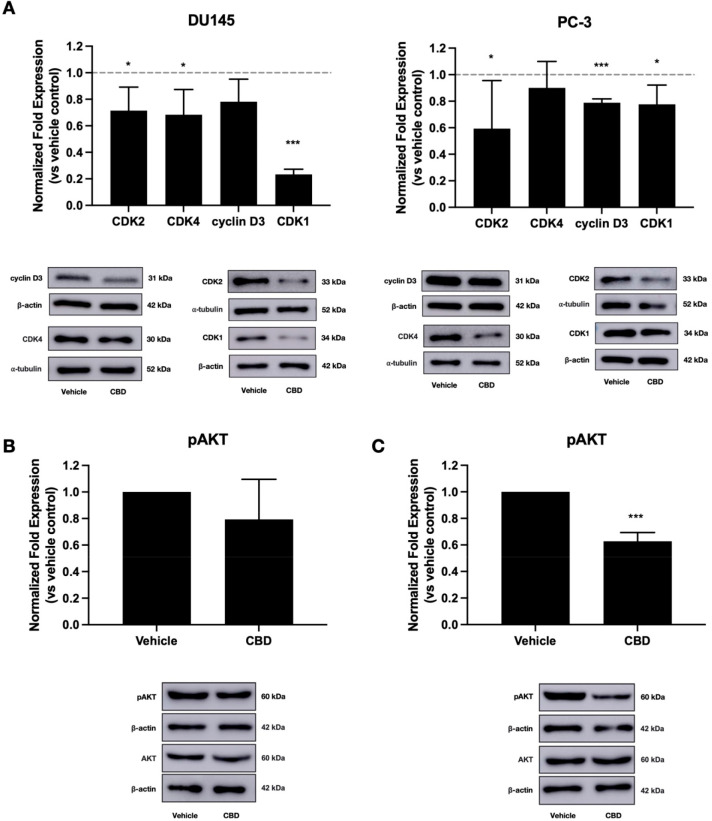 PMC10521019 – fig3