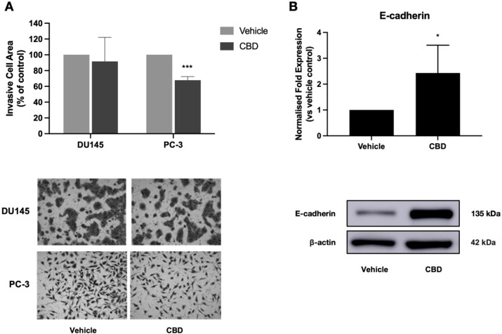 PMC10521019 – fig5