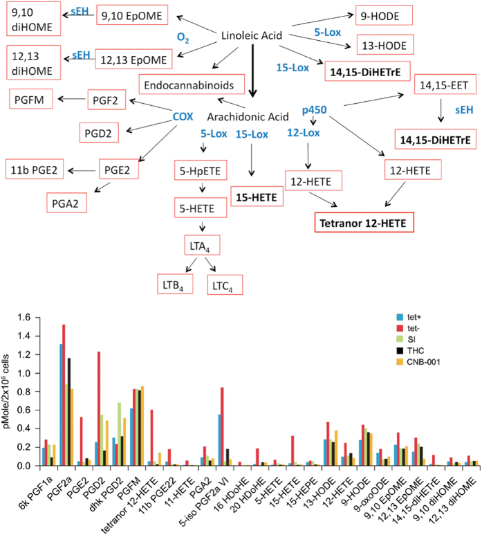 PMC5514994 – fig2